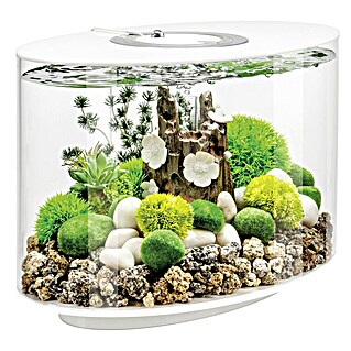 biOrb Aquarium Loop (470 x 298 x 410 mm, 15 l, LED, Weiß)
