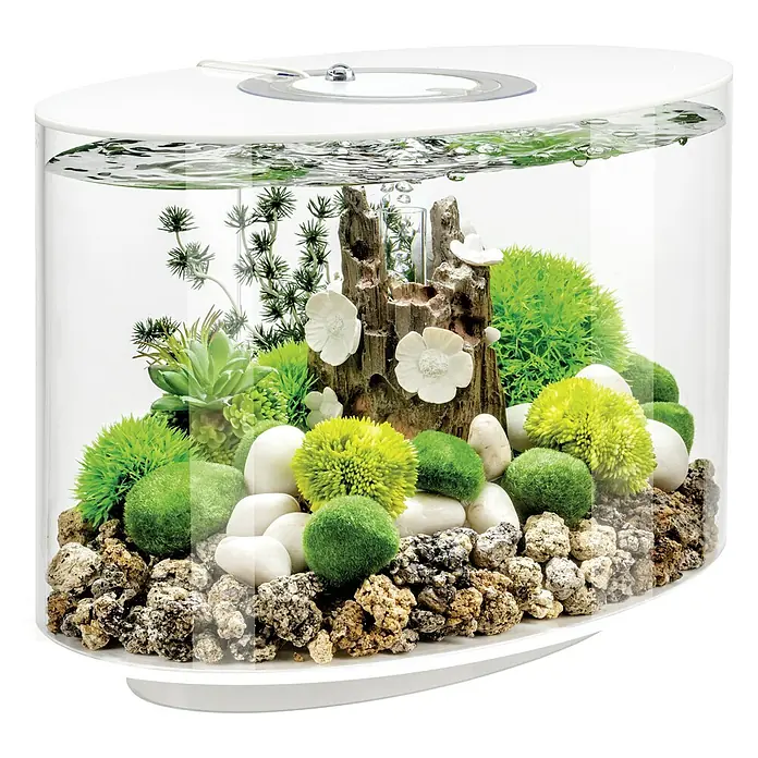 biOrb Aquarium Loop - 470 x 298 x 410 mm, 15 l, Weiß - Nahaufnahme eines stilvollen, ovalen Aquariums mit Dekorationen wie Pflanzen, Steinen und einem Baumstamm auf einem weißen Sockel.
