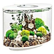 biOrb Aquarium Loop (470 x 298 x 410 mm, 15 l, LED, Weiß) | BAUHAUS