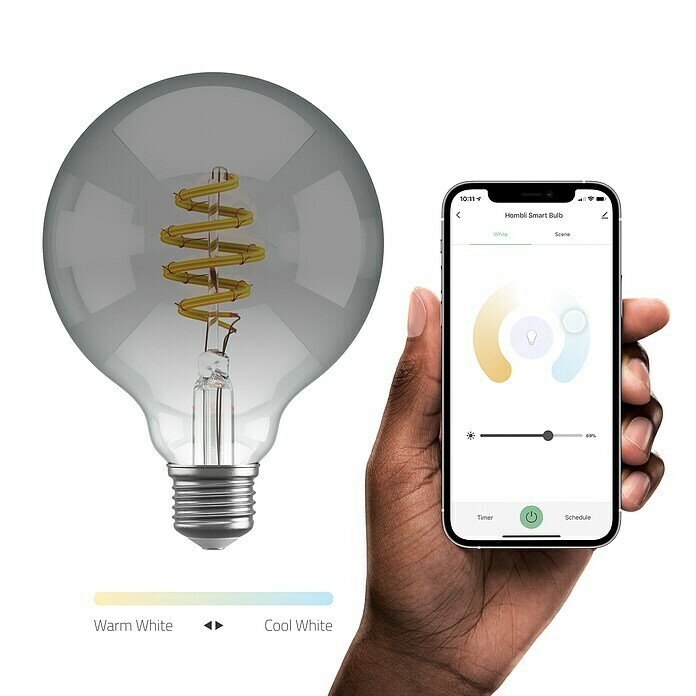 Hombli LED-Lampe Vintage Globe-Form E27 (E27, 5,5 W, Rauchfarben, Globe, Einstellbare Farbtemperatur, 1 Stk.)