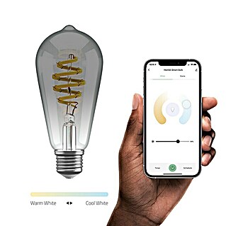 Hombli LED-Lampe Vintage Glühlampenform E27 (E27, 5,5 W, Rauchfarben, Kolben, Einstellbare Farbtemperatur, 1 Stk.)