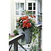 KHW Geländertopf Flowerclip (Außenmaß (Ø x H): 27 x 27,5 cm, Kunststoff, Grau) | BAUHAUS