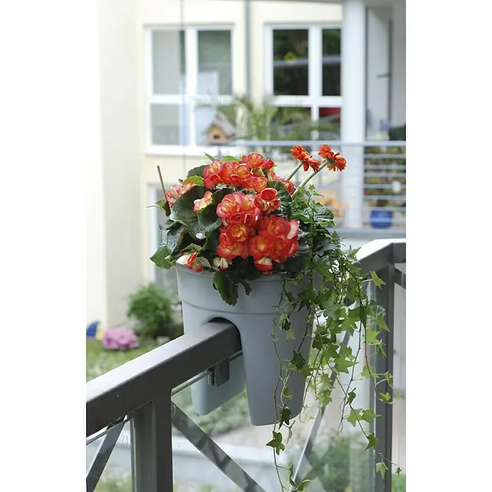 KHW Geländertopf Flowerclip - Außenmaß (Ø x H): 27 x 27,5 cm, Kunststoff, Grau - Blumenkasten mit üppigen roten und orangefarbenen Blüten, befestigt an einem Balkongeländer, verleiht dem Außenbereich Farbe und Lebendigkeit.