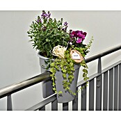 KHW Geländertopf Flowerclip (Außenmaß (Ø x H): 27 x 27,5 cm, Kunststoff, Grau) | BAUHAUS