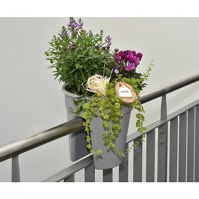KHW Geländertopf Flowerclip - Außenmaß (Ø x H): 27 x 27,5 cm, Kunststoff, Grau - Grauer Balkonpflanzer, gefüllt mit lila und grünen Pflanzen, verziert mit einem hölzernen „HOME“-Anhänger, hängt an einem Geländer.