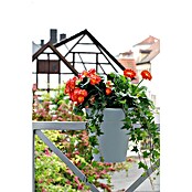 KHW Geländertopf Flowerclip (Außenmaß (Ø x H): 27 x 27,5 cm, Kunststoff, Grau) | BAUHAUS