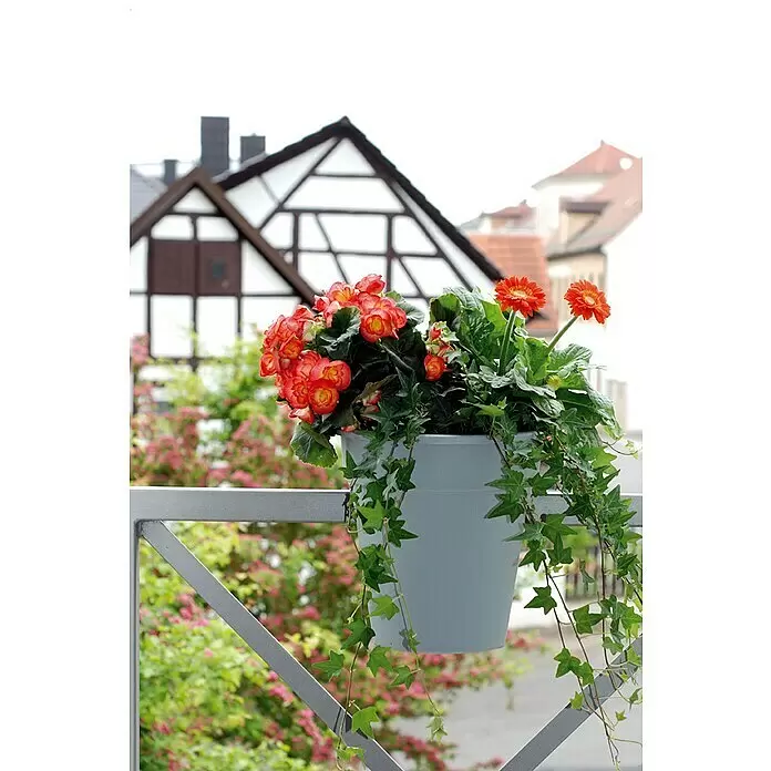 KHW Geländertopf Flowerclip - Außenmaß (Ø x H): 27 x 27,5 cm, Kunststoff, Grau - Hellgrauer Blumenkasten mit roten Begonien, orangen Gerbera und Efeu, am Balkongeländer hängend.