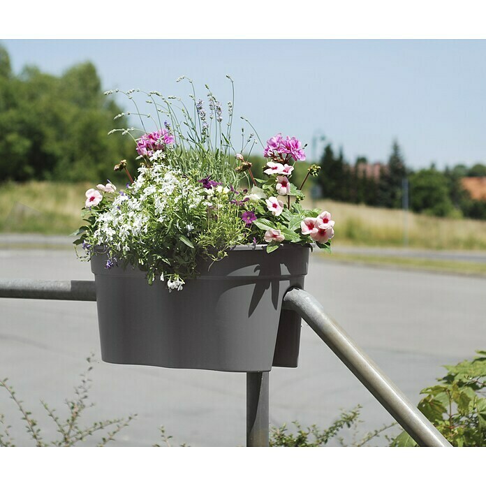 KHW Geländerkasten Flowerclip XL (Außenmaß (L x B x H): 57,5 x 27,7 x 27,5 cm, Kunststoff, Grau) | BAUHAUS