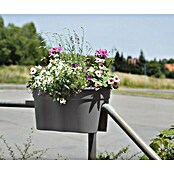 KHW Geländerkasten Flowerclip XL (Außenmaß (L x B x H): 57,5 x 27,7 x 27,5 cm, Kunststoff, Grau) | BAUHAUS