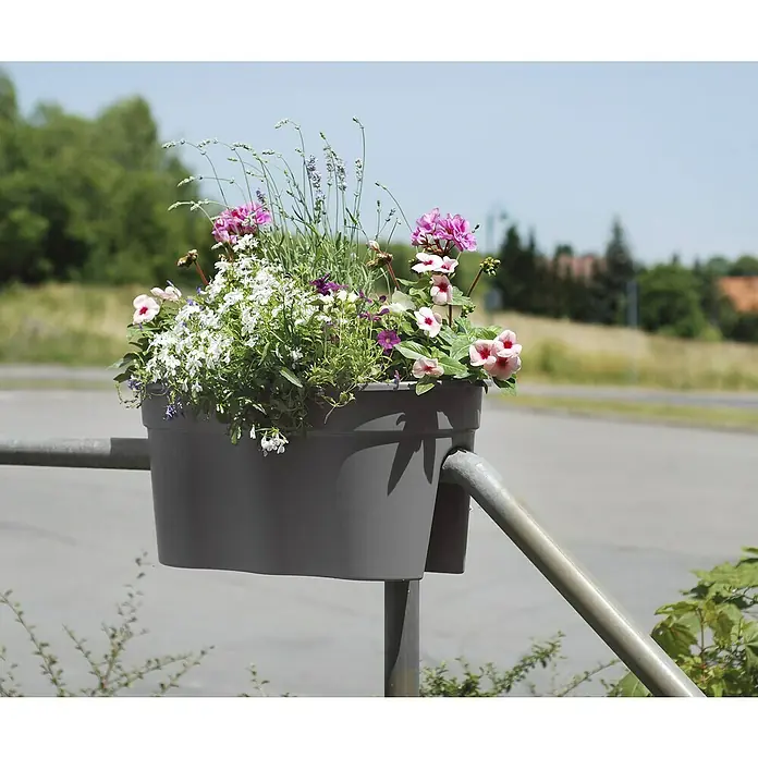 KHW Geländerkasten Flowerclip XL - Außenmaß (L x B x H): 57,5 x 27,7 x 27,5 cm, Kunststoff, Grau - Ein grauer Blumenkasten mit bunten Blumen hängt an einem silbernen Geländer und bringt Farbe ins Bild. Die Blumen strahlen im Sonnenlicht.