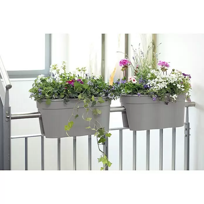 KHW Geländerkasten Flowerclip XL - Außenmaß (L x B x H): 57,5 x 27,7 x 27,5 cm, Kunststoff, Grau - Zwei graue Balkonkästen mit bunten Blumen und Grünpflanzen, inklusive Efeu, an einem grauen Geländer montiert.