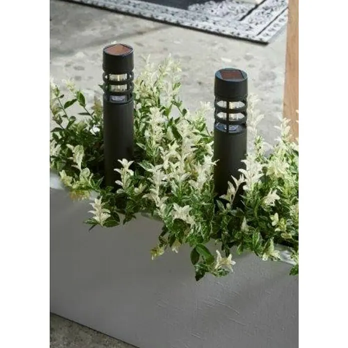 Lámpara decorativa solar Montelimar - L x An x Al: 6,2 x 6,2 x 38,8 cm, Negro, IP33 - Imagen de dos elegantes luces solares negras rodeadas de exuberantes plantas verdes y blancas, iluminando un sendero de jardín.