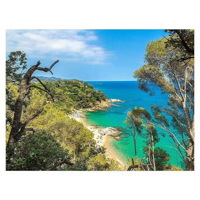 Cuadro Gerona - Costa Lloret de Mar, 80 x 60 cm - Vista panorámica de una playa idílica con aguas turquesas, enmarcada por exuberante vegetación y árboles.