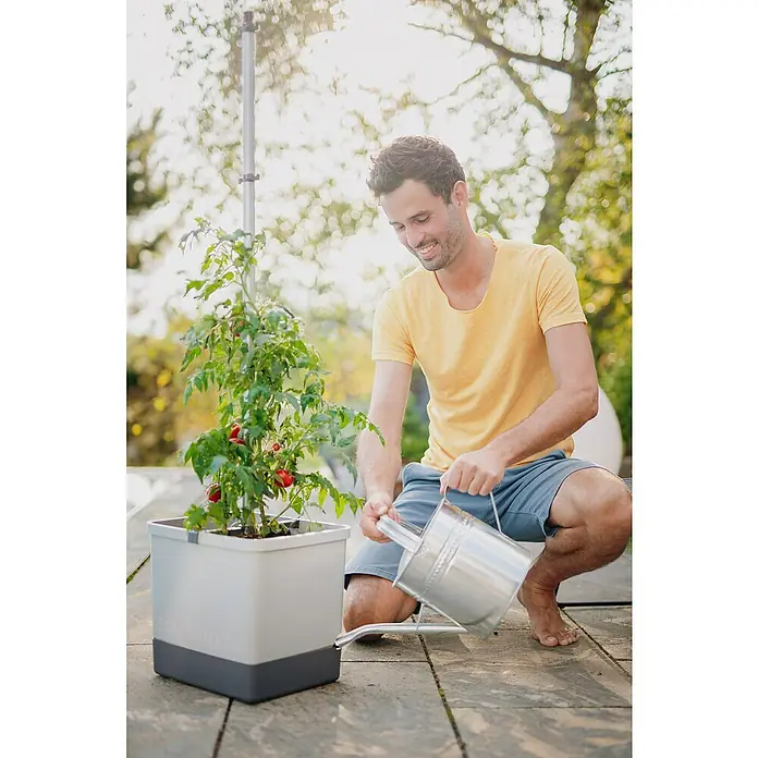 Gusta Garden Pflanztopf Tom Tomato - 28 x 35 x 136 cm, Ausstattung:  Rankhilfe, Hellgrau online kaufen bei BAUHAUS