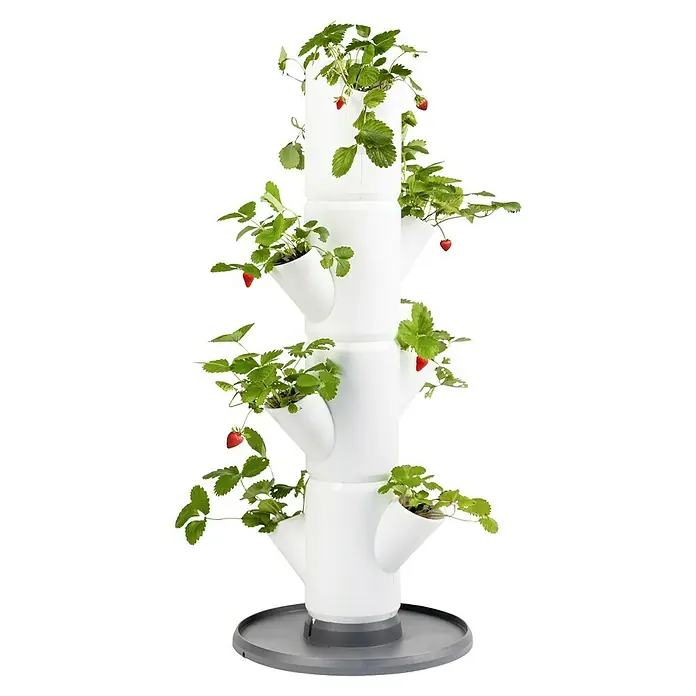 Gusta Garden Pflanzturm Sissi Strawberry Starter - 270 x 270 x 770 mm, Weiß - Ein vertikaler Erdbeerturm mit reifen, roten Erdbeeren und grünen Blättern. Ideal für den Anbau auf kleinem Raum, drinnen oder draußen.