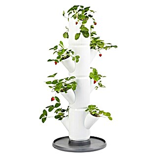 Gusta Garden Pflanzturm Sissi Strawberry Starter (27 x 32 x 77 cm, Weiß)
