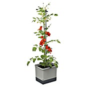 Gusta Garden Pflanztopf Tom Tomato x | (28 136 35 BAUHAUS x Bewässerungssystem, Hellgrau) cm, Ausstattung