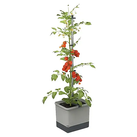 Gusta Garden  Pflanztopf Tom Tomato