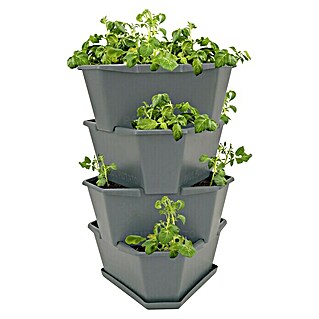 Gusta Garden Pflanzturm Paul Potato (44 x 44 x 65 cm, Anthrazit)