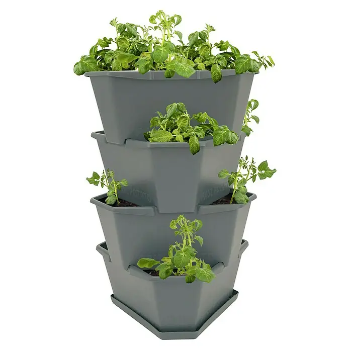 Gusta Garden Pflanzturm Paul Potato - 44 x 44 x 65 cm, Anthrazit - Mehrstöckiger Pflanzturm für Kartoffeln mit üppigem Grün. Ideal für den platzsparenden Anbau von Kartoffeln auf kleinem Raum, Balkon oder Terrasse.