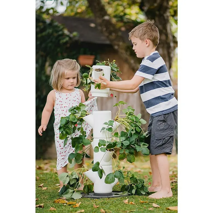 Gusta Garden Pflanzturm Sissi Strawberry Starter - 270 x 270 x 770 mm, Weiß - Zwei Kinder bepflanzen einen weißen, mehrstöckigen vertikalen Pflanzturm mit Erdbeerpflanzen im Garten.