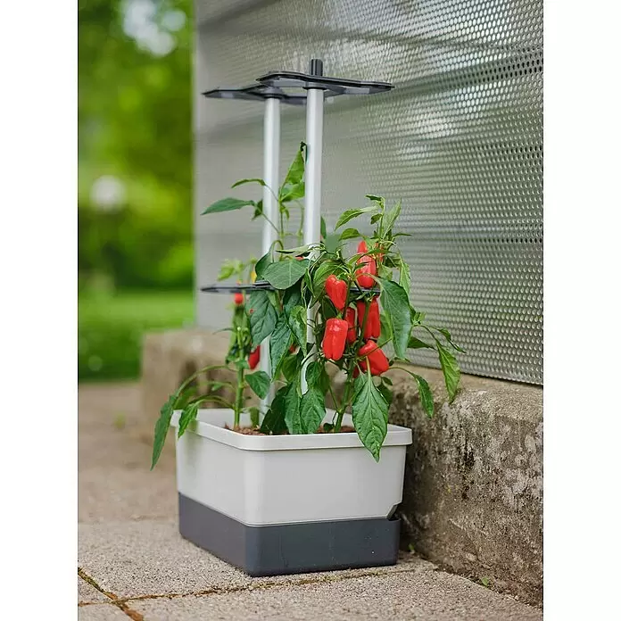 blumenständer metall mit glasschale Deko Blumenständer main image 1