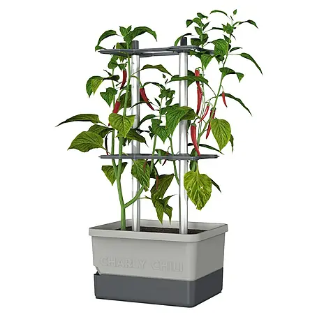 Gusta Garden  Pflanzgefäß Charly Chili
