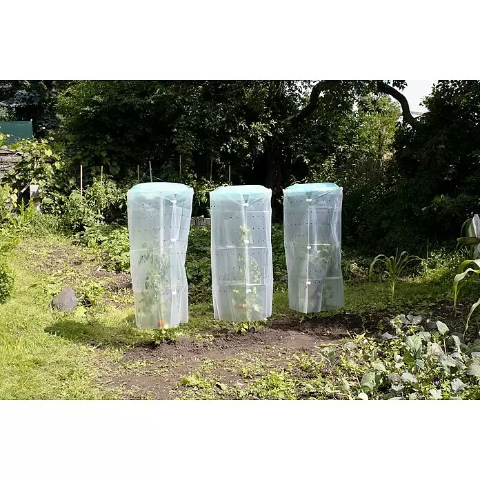 KHW Tomatengewächshaus Tomatenhut 3er Set - Durchmesser: 49 cm, Kunststoff - Stimmungsaufnahme