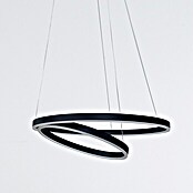 Direct Signs LED-Pendelleuchte Noble (Höhe: 150 cm, Schwarz, Durchmesser: 600 mm) | BAUHAUS