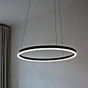 Direct Signs LED-Pendelleuchte Noble (Durchmesser: 800 mm, Schwarz) | BAUHAUS