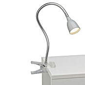 Brilliant LED-Klemmleuchte Anthony (2,4 W, Silber, Lichtfarbe: Warmweiß) | BAUHAUS