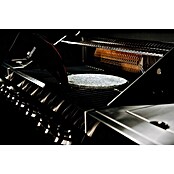 Kingstone The Quad Gasgrill Six (Anzahl Brenner: 6 Stk.) | BAUHAUS