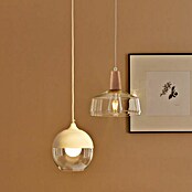 Paulmann Viseća svjetiljka (20 W, null, Visina: 110 cm)