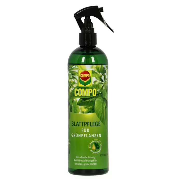 Compo Blattpflege - Geeignet für: Grünpflanzen, 500 ml