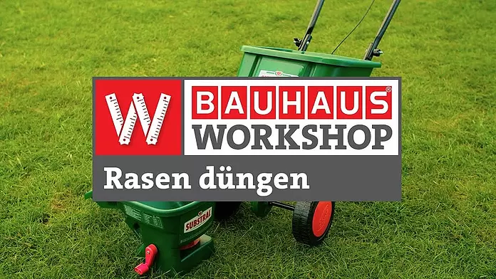saatgut penny BIO Frühlingszwiebel Samen (Weißer Lissabonner)