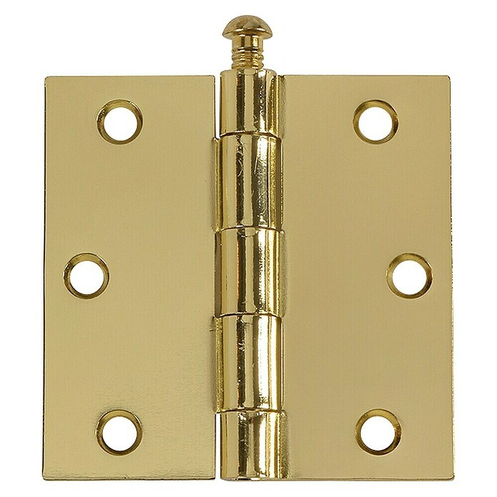 Scharnier recht vermessingd (l x b: 76 x 76 mm) | BAUHAUS
