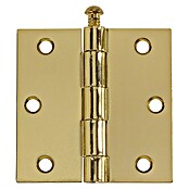 Scharnier recht vermessingd (l x b: 76 x 76 mm) | BAUHAUS