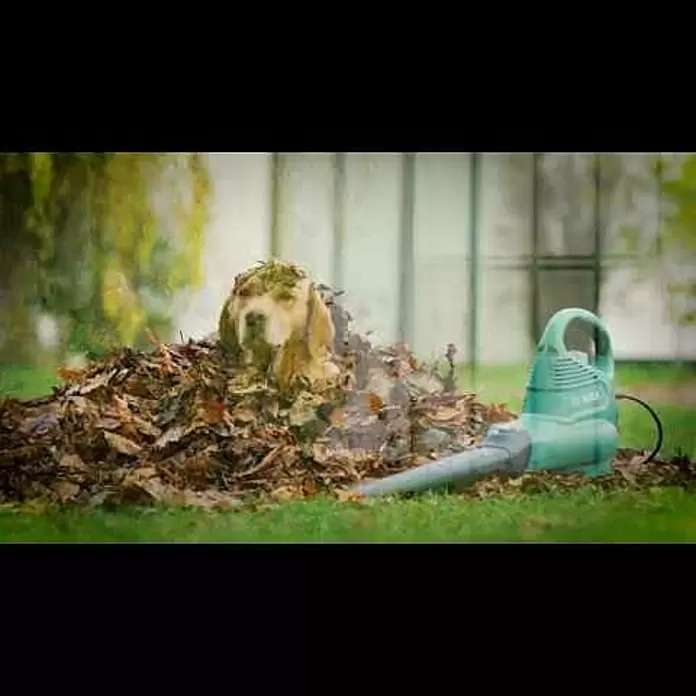 Bosch Elektro-Laubsauger UniversalGardenTidy 3000 - 3.000 W, Blasgeschwindigkeit: 165 km/h - 285 km/h - Produktvideo Bosch UniversalGardenTidy