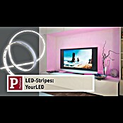 Paulmann LED-Band YourLED Basisset (Länge: 1,5 m, Lichtfarbe: Warmweiß, 4,5 W, 400 lm, 12 V) | BAUHAUS