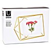 Umbra Bilderrahmen Prisma (10 x 15 cm, Messing, Glas) | BAUHAUS