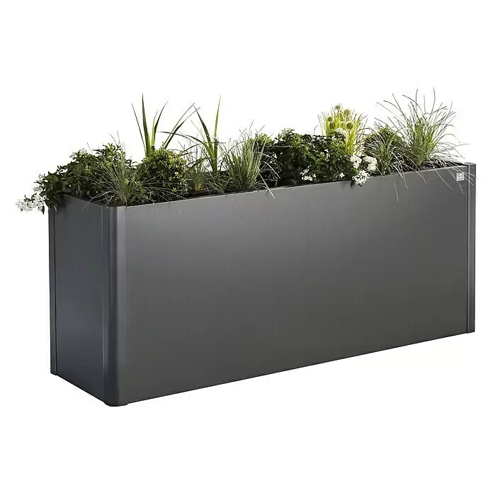 Biohort Belvedere Hochbeet - 53 x 201 x 77 cm, Stahl, Dunkelgrau Metallic - Anthrazitfarbener rechteckiger Metall-Pflanzkasten, gefüllt mit Grünpflanzen und kleinen weißen Blüten.