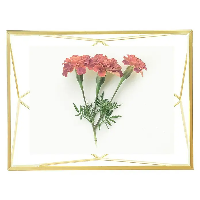 Umbra Bilderrahmen Prisma - 10 x 15 cm, Messing, Glas - Ein gerahmtes Bild von drei eleganten, orangefarbenen Ringelblumen, die eine warme und stilvolle Dekoration verkörpern.
