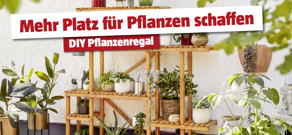 Pflanzenregal