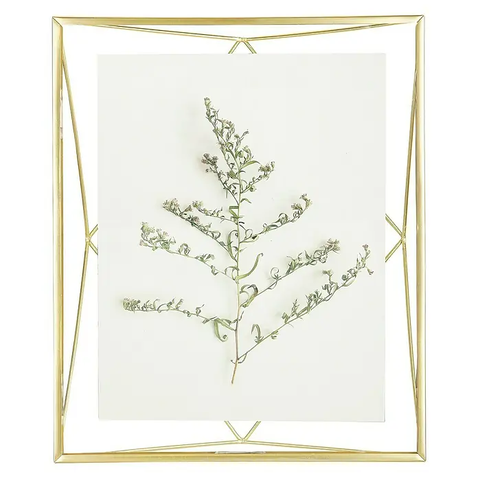 Umbra Bilderrahmen Prisma - 20 x 25 cm, Messing, Glas - Elegantes goldenes Fotorahmen mit einer zarten Pflanze, die eine stilvolle und natürliche Note verleiht. Ideal für botanisch inspirierte Dekorationen.