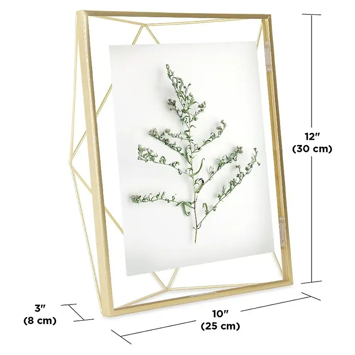 Umbra Bilderrahmen Prisma - 20 x 25 cm, Messing, Glas - Ein goldener geometrischer Fotorahmen mit einer zarten Pflanze im Inneren, ideal zur stilvollen Präsentation von Erinnerungen.