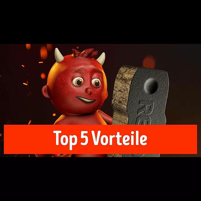Rekord Braunkohlebriketts - 25 kg - Top 5 Vorteile von REKORD Braunkohlebriketts