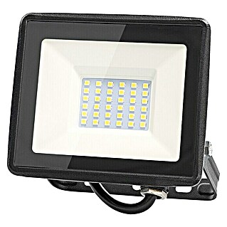 Garza Proyector LED Basic (30 W, L x An x Al: 2,5 x 12,5 x 11,9 cm, Blanco neutro)