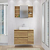 Artysan Mueble de lavabo Farbe (L x An x Al: 44,6 x 90 x 64 cm, Nebraska) | BAUHAUS