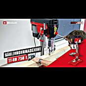 Einhell Tischbohrmaschine TE-BD 750 E (750 W, 450 U/min - 2.500 U/min) | BAUHAUS