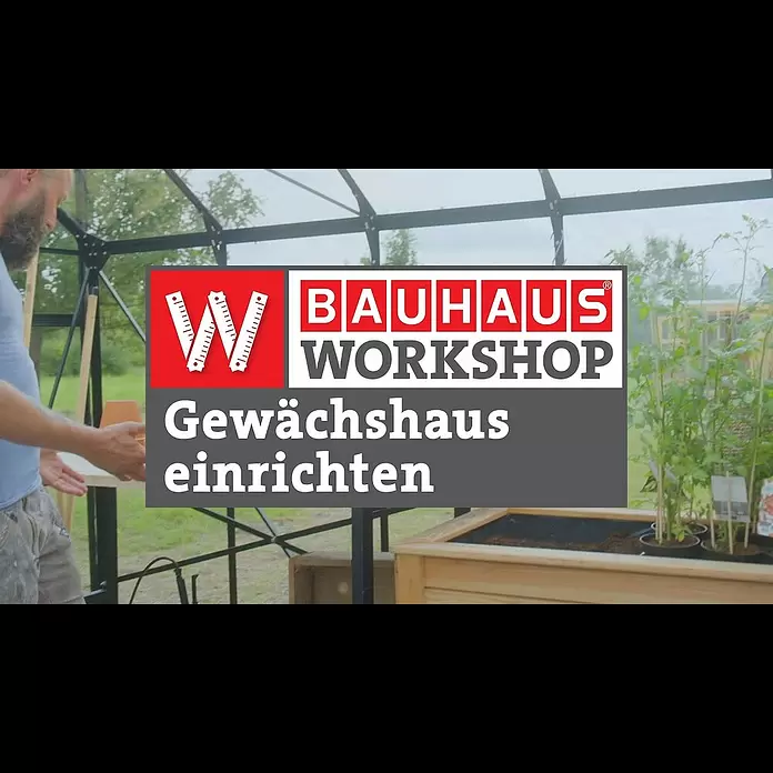 Vitavia Gewächshaus Domus 11500Außenmaß inkl. Dachüberstand (B x T): 257 x 449 cm, 4 mm, Schwarz - BAUHAUS Workshop - Wir richten unser Gewächshaus ein [Experten Tipps]
